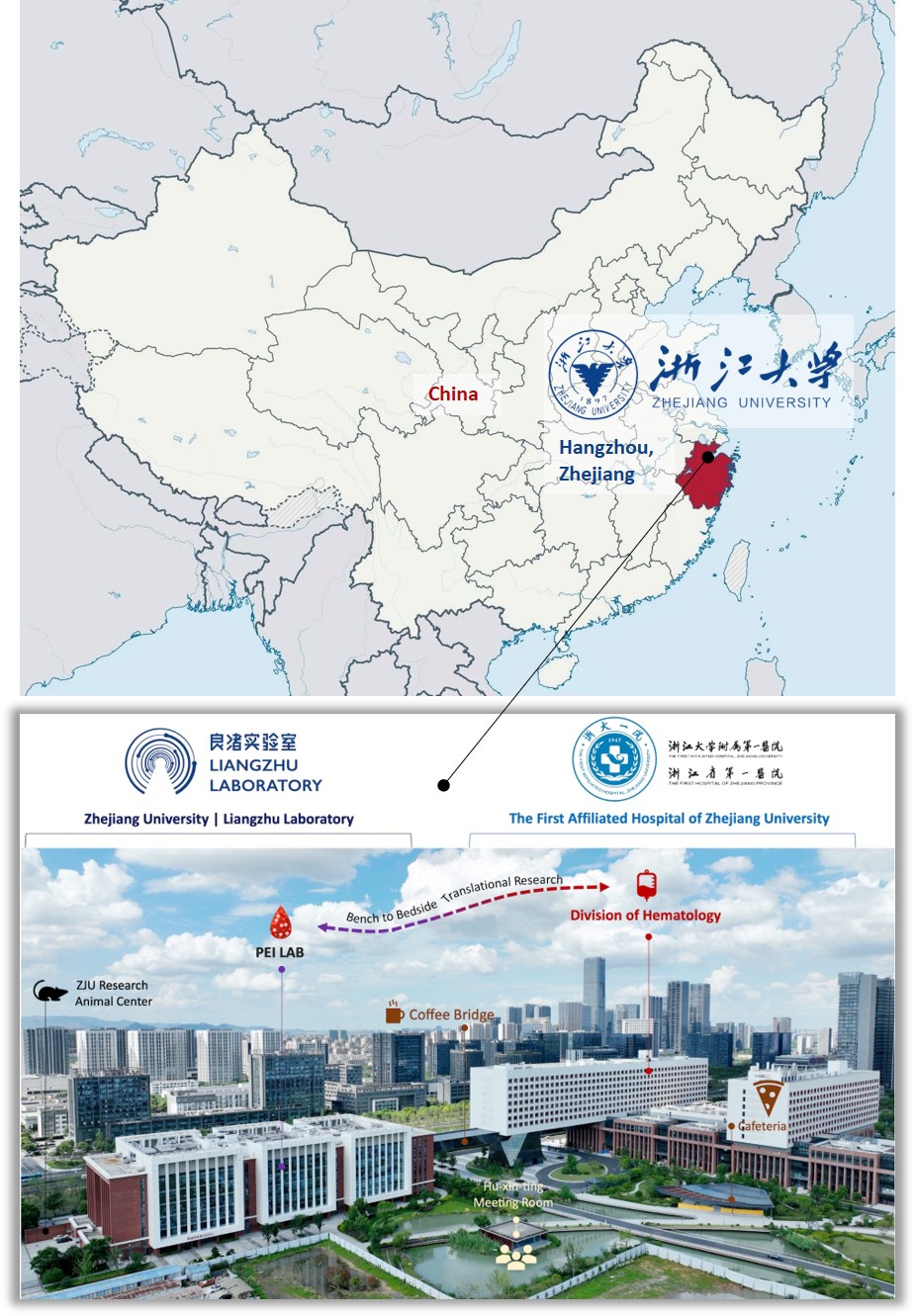 示例图片